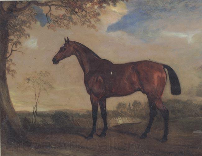 John Ferneley Portrait of a Hunter Mare,The Property of Robert shafto of whitworth park,durham Germany oil painting art